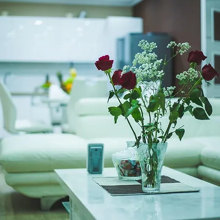 Apartament Luxury Twins *